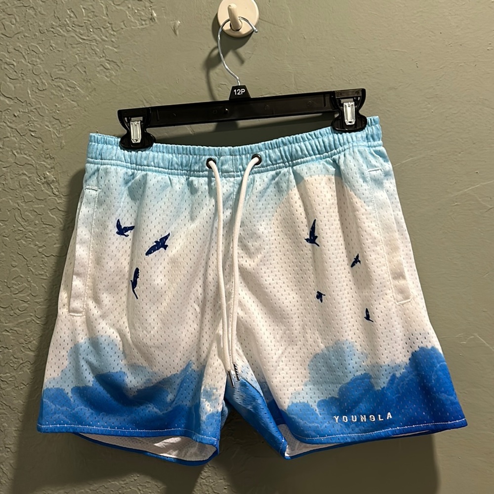 YoungLA Block Party shorts, size small. Brand new, no stains.